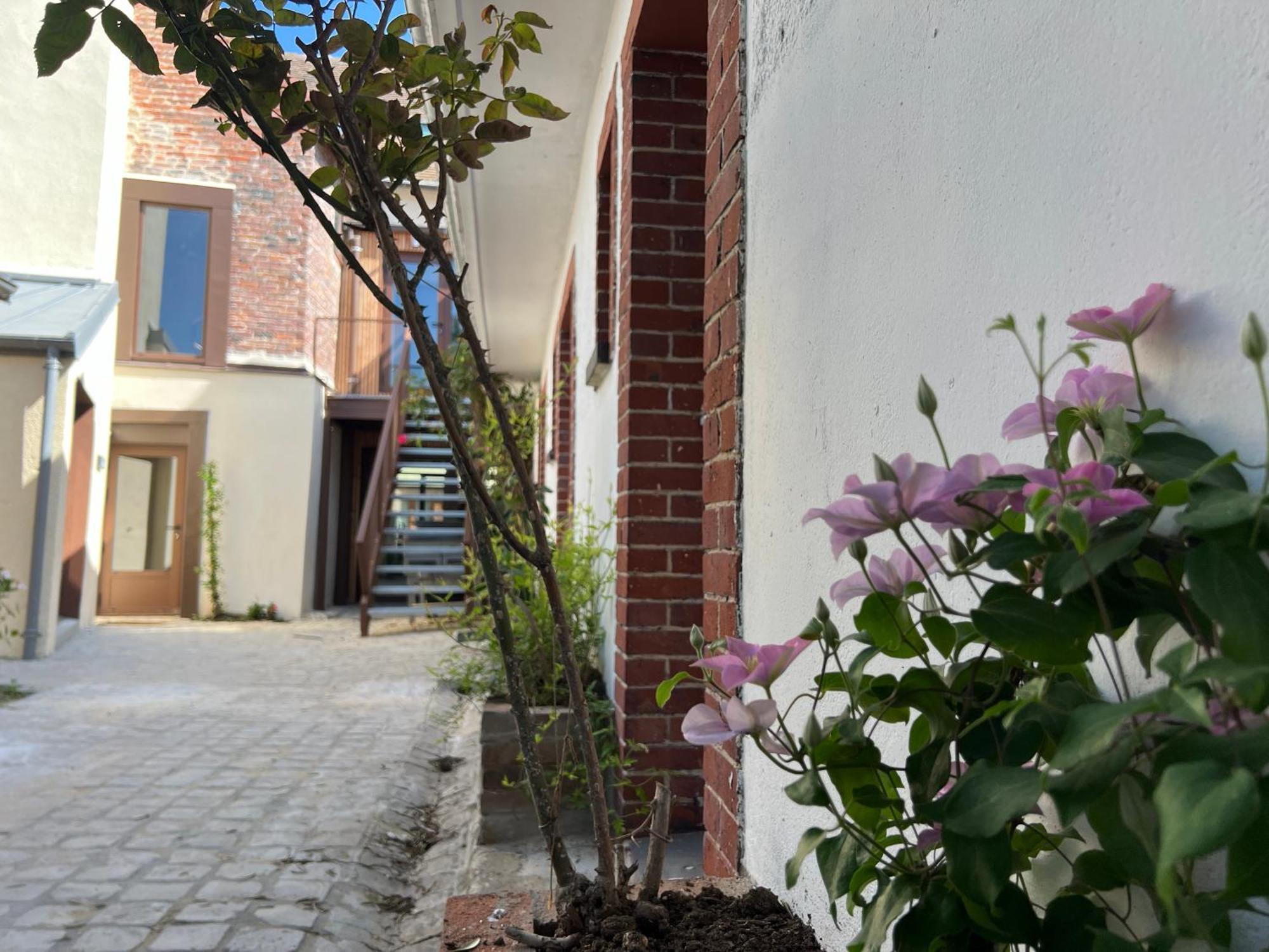 Le Chene Fleuri Bed & Breakfast Chartres Exterior photo